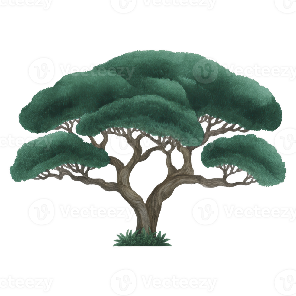 Lush, stylized tree with broad canopy and intricate branches, evoking sense of tranquility and natural beauty. tree dense foliage is depicted in rich green hues png