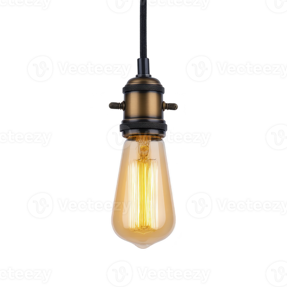 Vintage style Edison bulb with warm glow hangs from black cord, showcasing its intricate filament design. bulb antique brass socket adds touch of industrial charm png