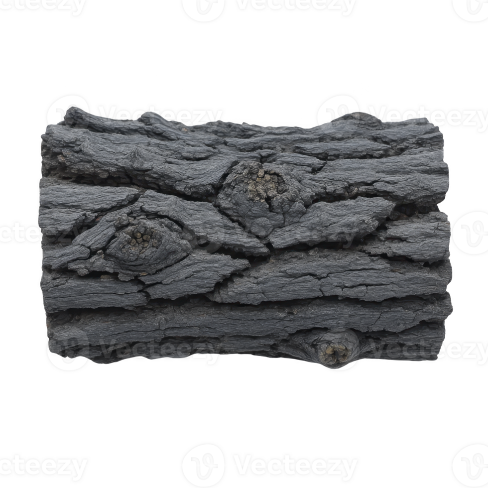 Piece of charred wood with rough texture and dark color, showing natural patterns and knots, isolated on transparency background png