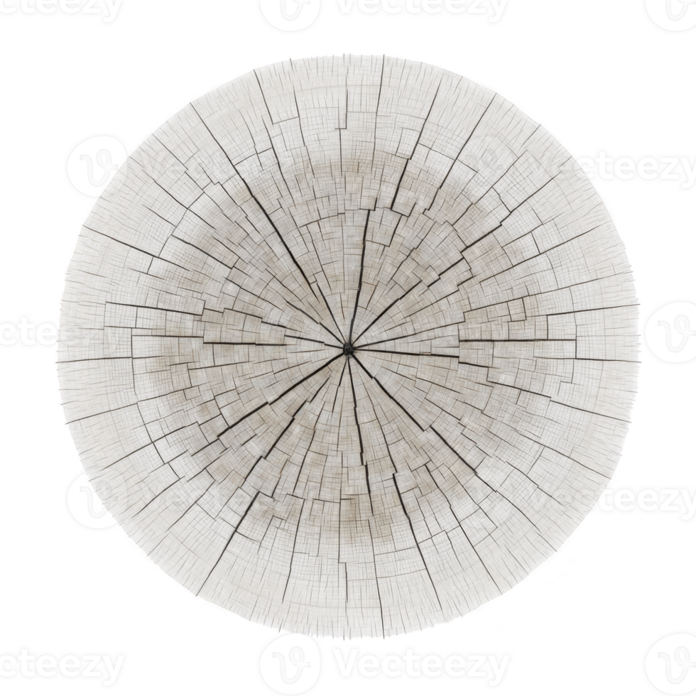 Cross section of tree trunk displays intricate growth rings and natural cracks, showcasing passage of time and beauty of nature patterns png