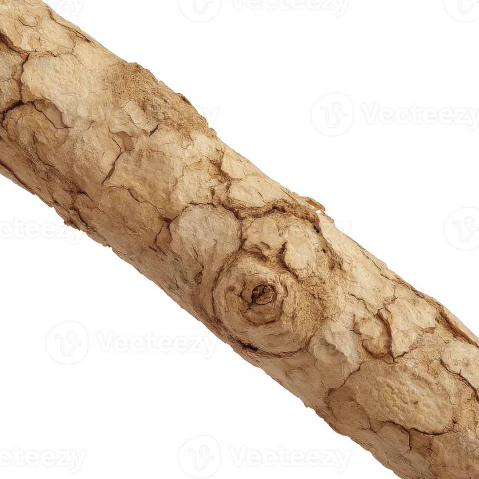 Close up of textured tree branch with knot, showcasing its rough, natural surface and earthy tones. detailed bark pattern highlights organic beauty of wood png