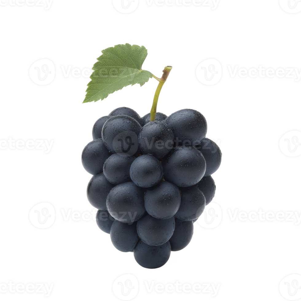 Cluster of fresh, dark grapes with single green leaf attached, isolated on transparency background. grapes appear plump and juicy, showcasing their natural texture and rich color png