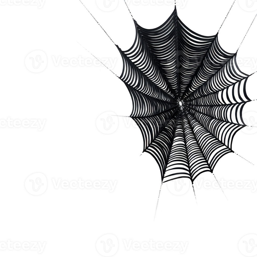 Detailed black and white spider web illustration on transparency background, showcasing intricate patterns and symmetry. web appears delicate yet strong, capturing essence of nature artistry png