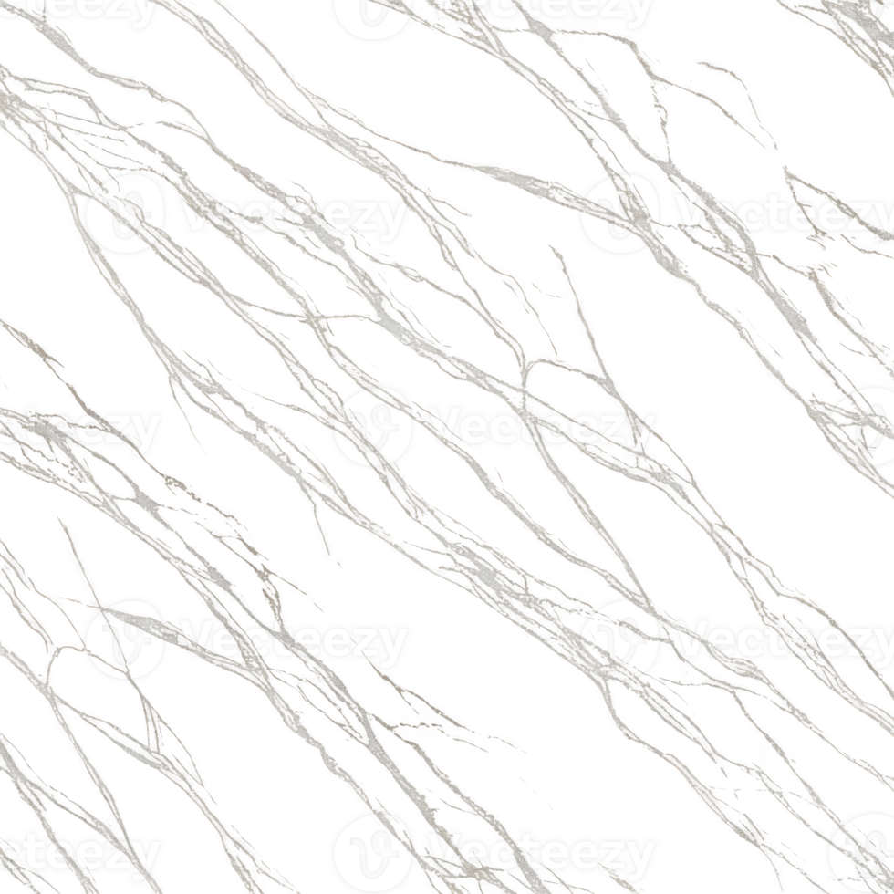 Image features abstract pattern of white, vein like lines transparency background, creating striking contrast and dynamic visual effect. design resembles natural marble or stone textures png