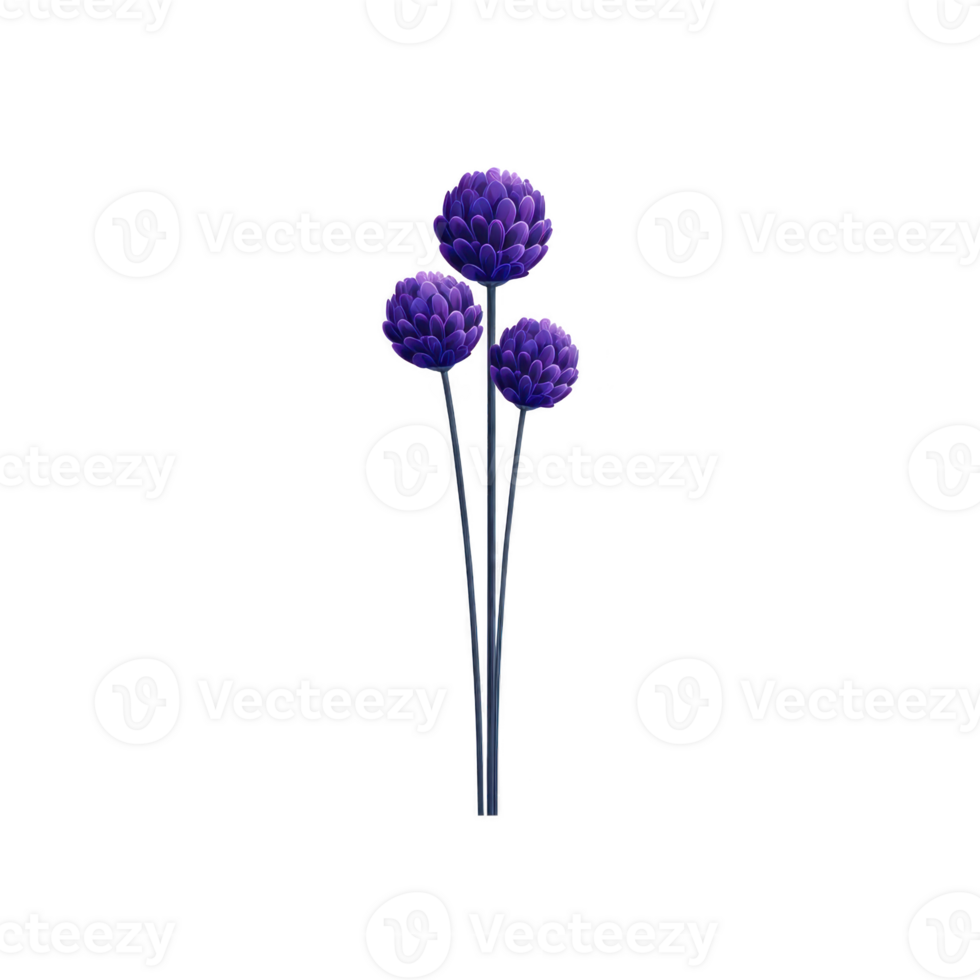 Three vibrant purple flowers with layered petals stand elegantly on slender stems against plain background, showcasing their natural beauty png