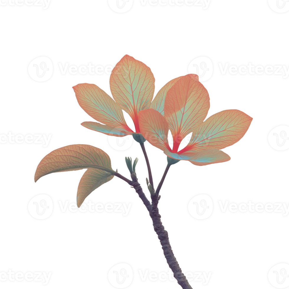 Vibrant, artistic depiction of plant with colorful leaves, showcasing blend of pink and teal hues. image highlights delicate structure and intricate vein patterns of leaves, creating visually png