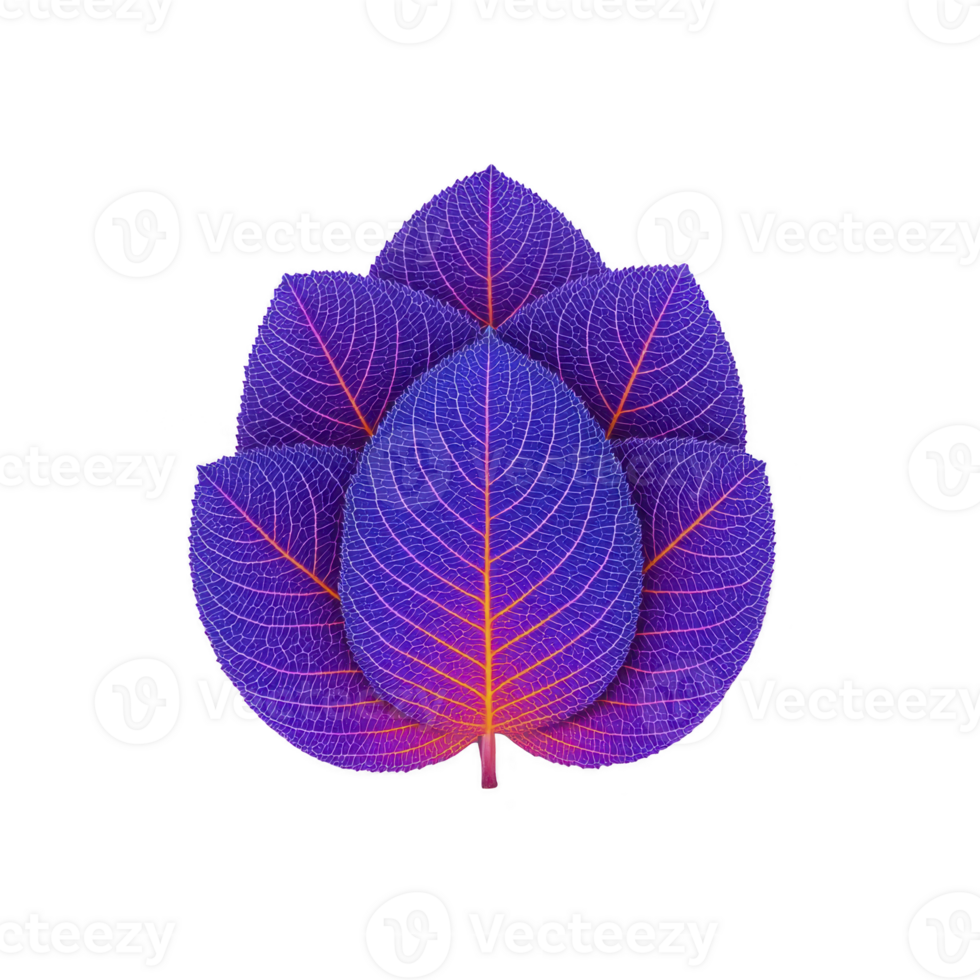 This features vibrant digitally created leaf design with striking color gradient of purple and orange. intricate vein patterns add sense of depth and texture creating visually captivating effect png
