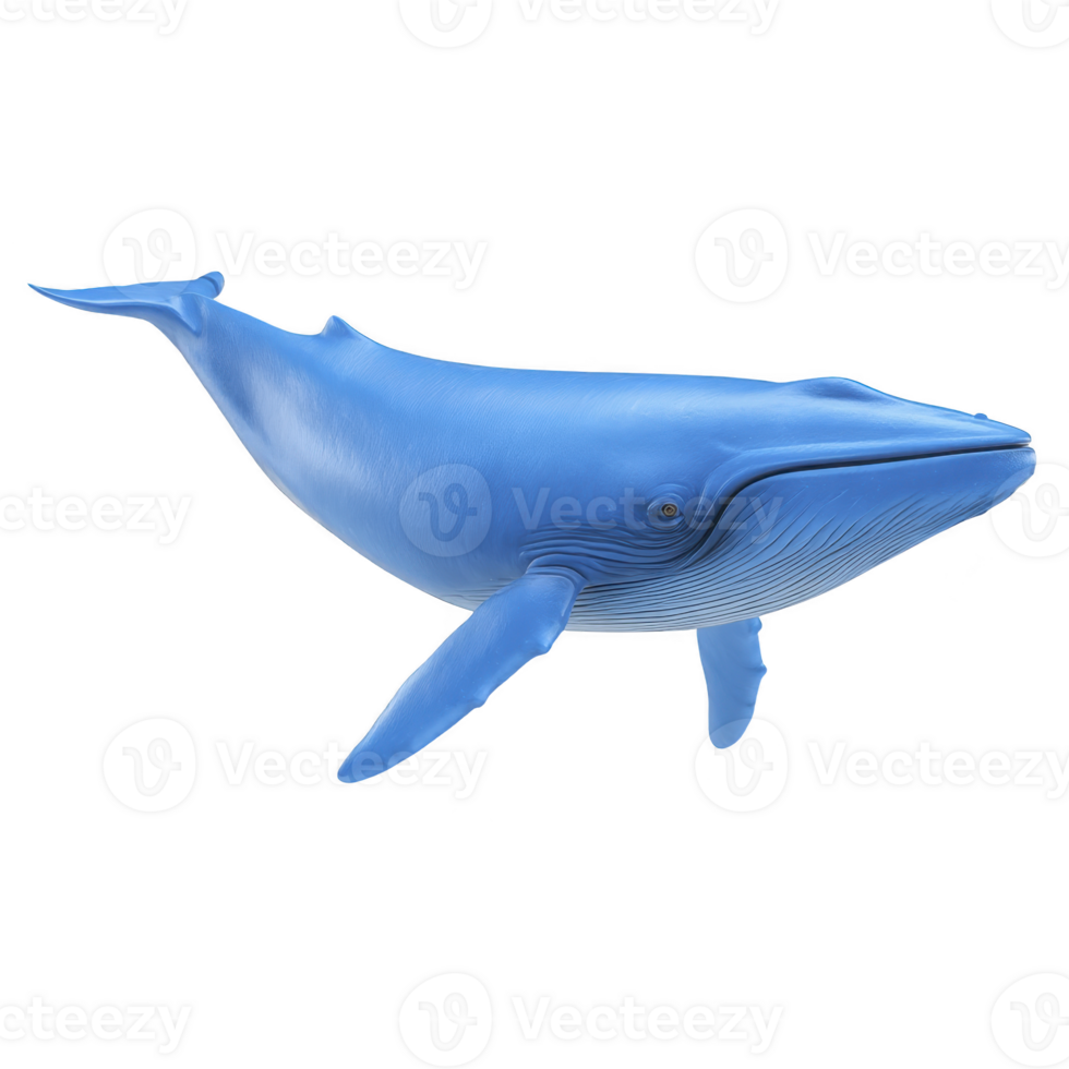 Realistic 3D rendering of blue whale, showcasing its massive size and distinct features, such as streamlined body and large flippers, against transparency background png