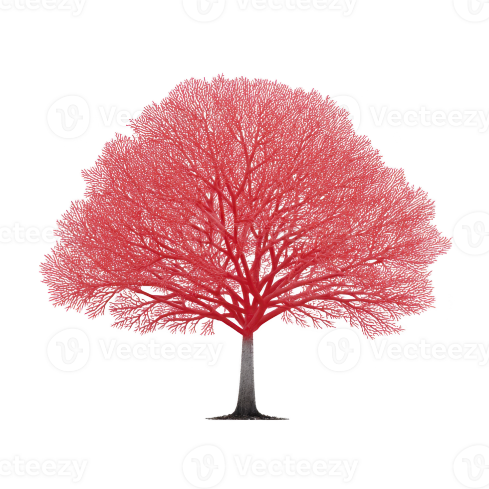 Vibrant red tree with intricate branches stands against plain background, showcasing its unique and striking appearance. tree vivid color and detailed structure create captivating visual png
