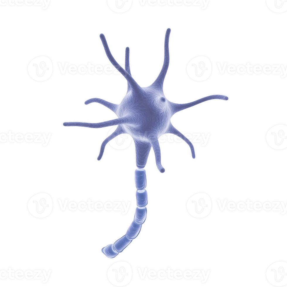 3D illustration of neuron with dendrites and axon, showcasing complex structure of nerve cell in nervous system. image highlights intricate design of neural connections png