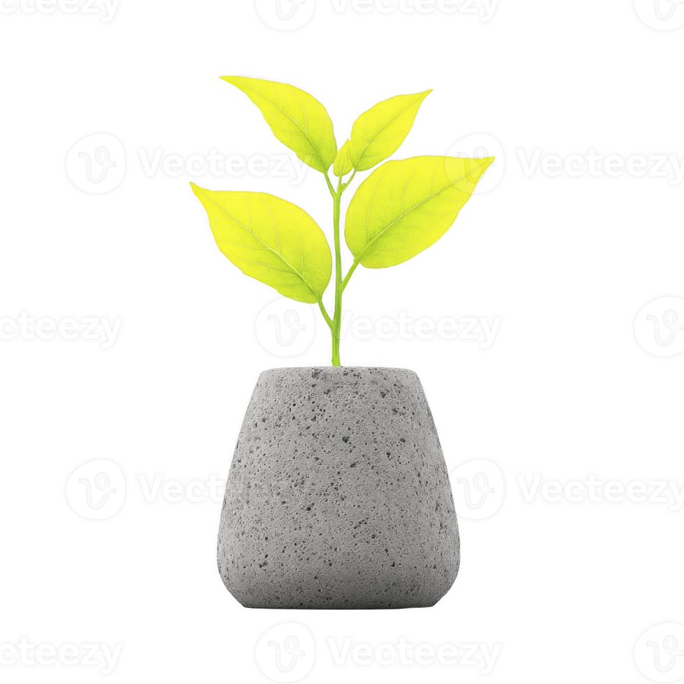 Small plant with bright green leaves is growing in textured gray concrete pot, creating minimalist and modern aesthetic png