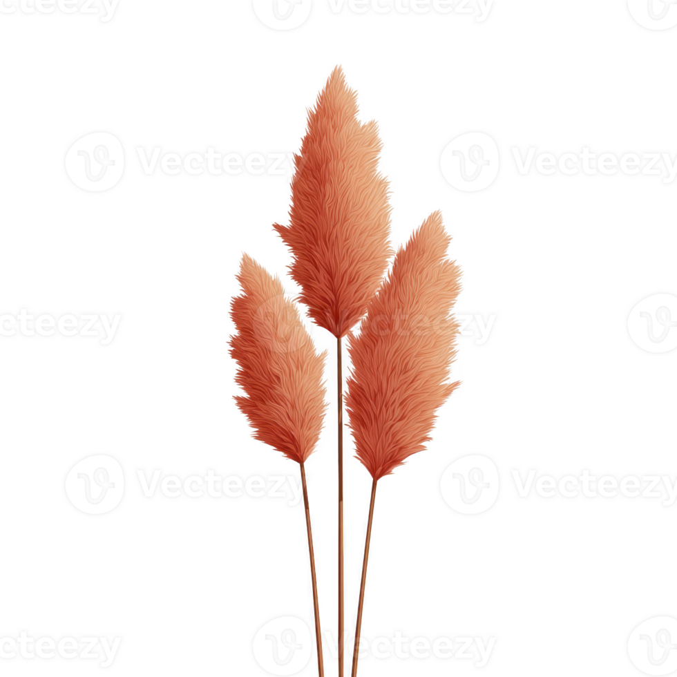 Three fluffy, orange pampas grass plumes stand against transparency background, showcasing their soft texture and vibrant color. image highlights natural beauty and decorative appeal of these png