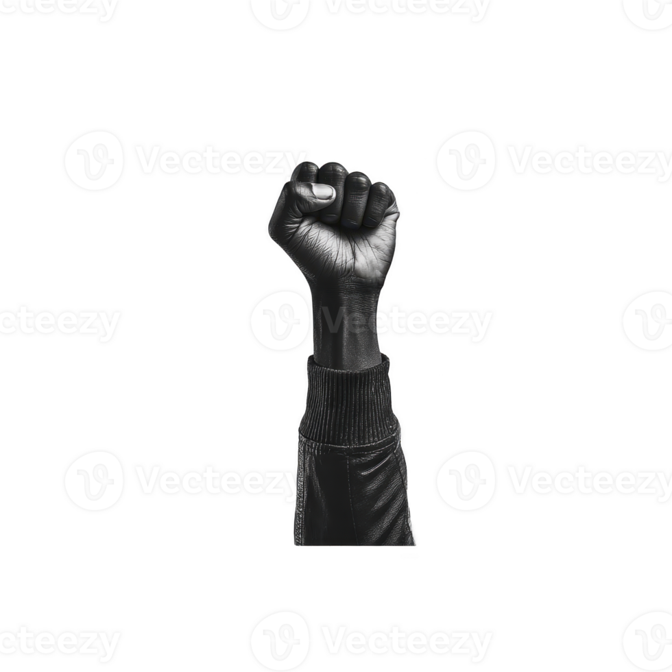 Black and white image of raised fist symbolizes strength, unity, and resistance. monochrome style emphasizes powerful message of solidarity and empowerment png