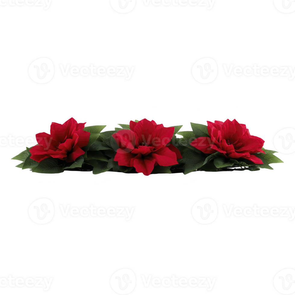 Three vibrant red poinsettia flowers with lush green leaves are arranged row, creating festive and elegant display. rich colors and symmetrical arrangement evoke sense of holiday cheer and natural png