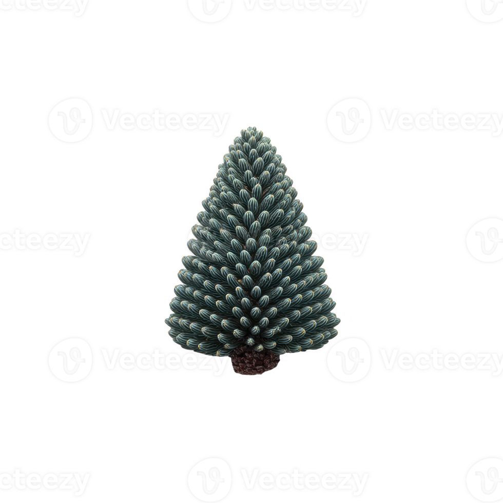 Small, symmetrical pine tree with dense, dark green foliage stands against plain background, showcasing its natural beauty and intricate pattern png