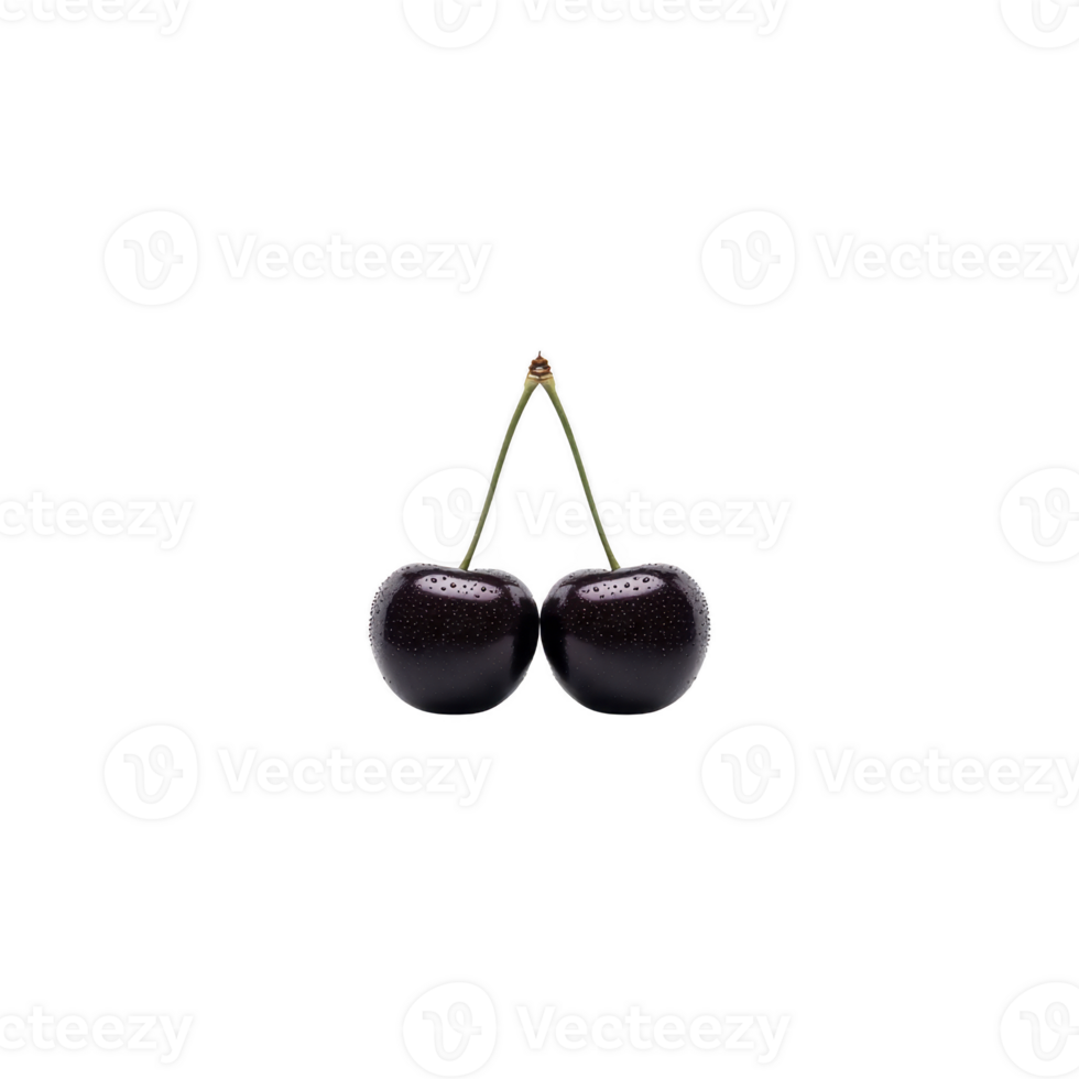 Two dark cherries with stems are connected, isolated on transparency background, showcasing their glossy texture and rich color png