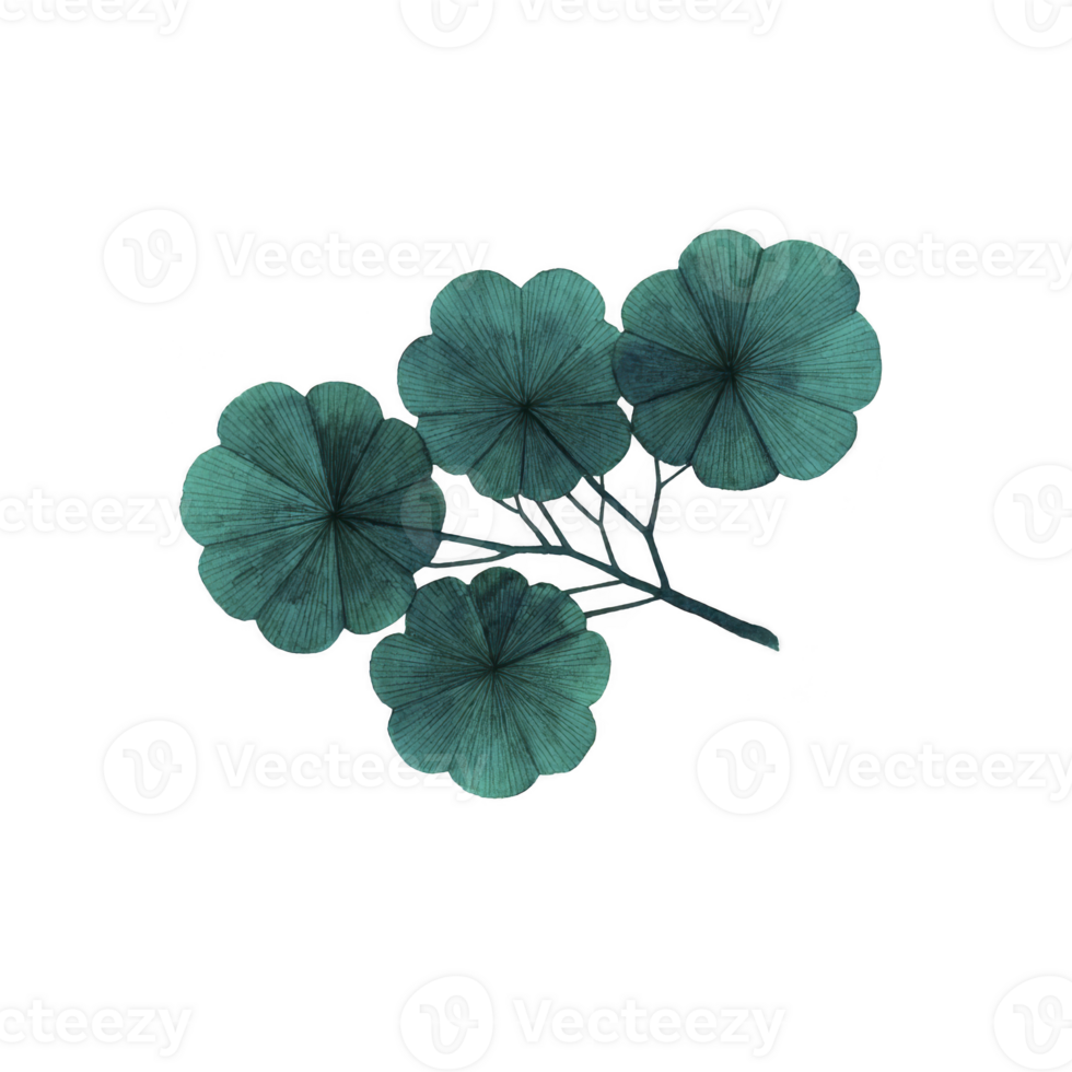Cluster of four teal colored, textured leaves with radial pattern, resembling stylized botanical illustration, is depicted against plain background. leaves are arranged natural, overlapping manner png