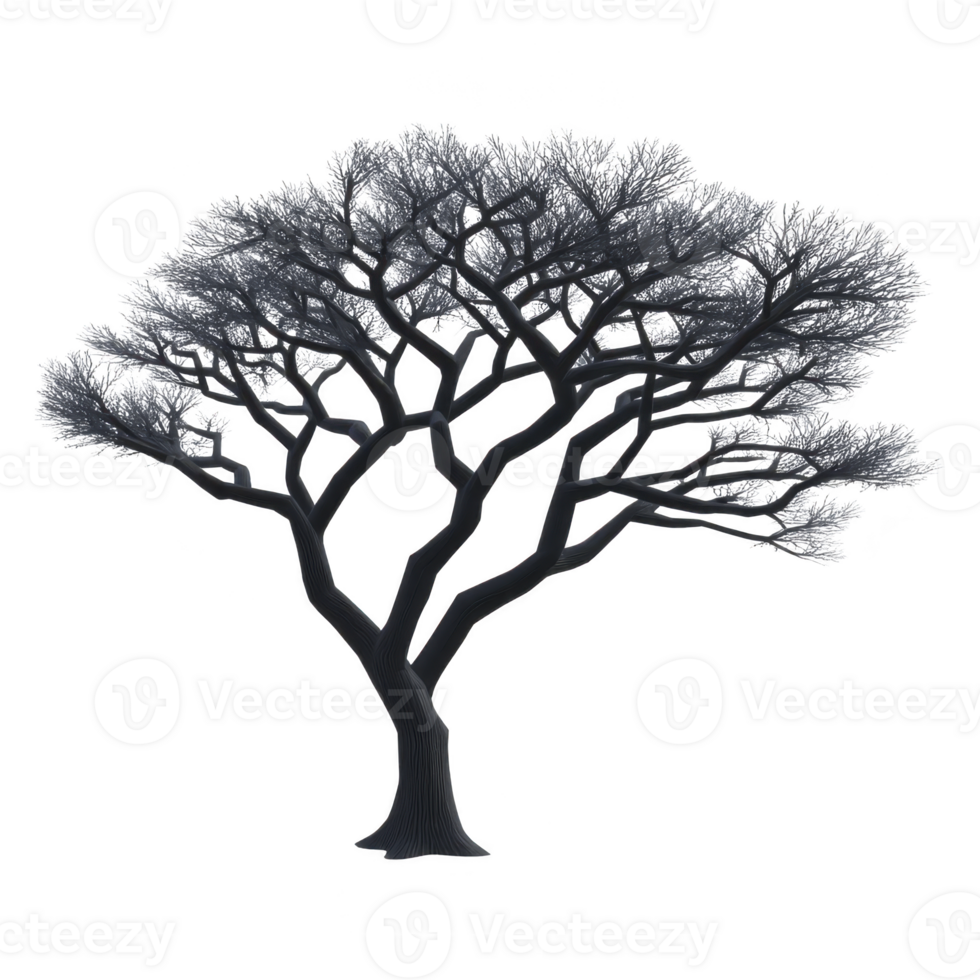Silhouette of leafless tree with intricate branches against transparent background, evoking sense of calm and simplicity png