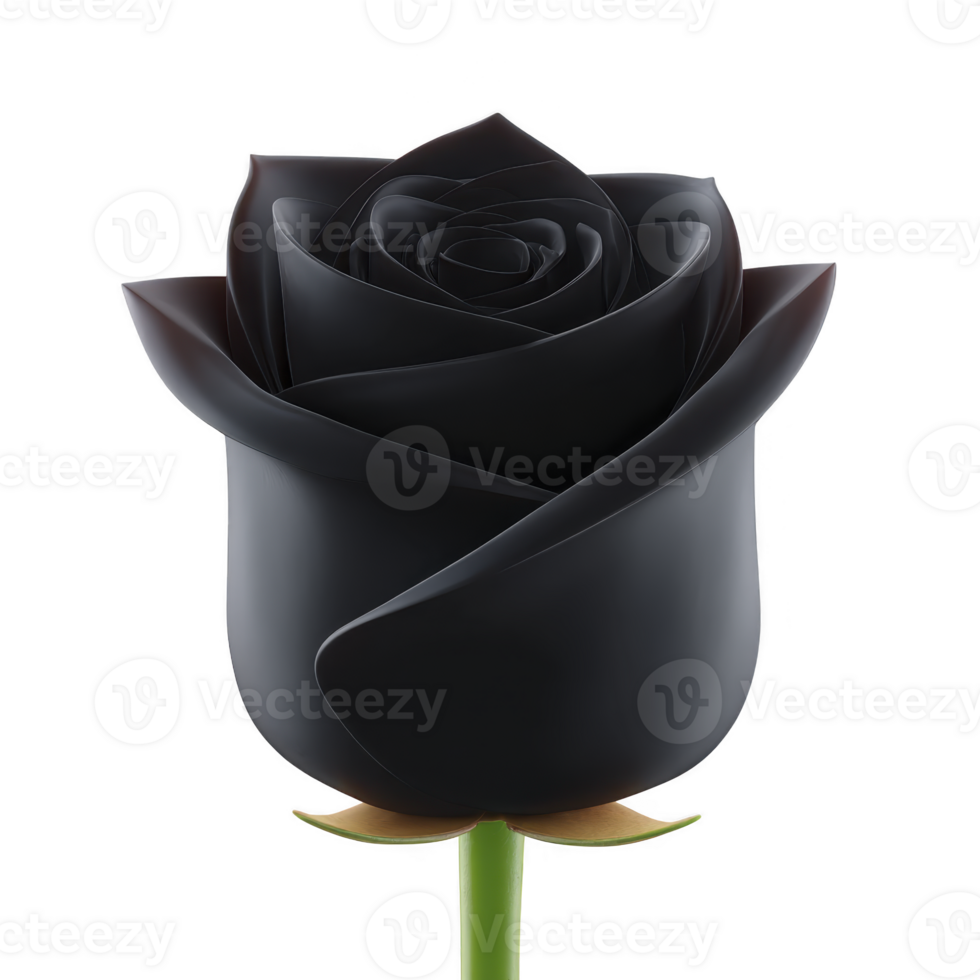 Single black rose with green stem stands elegantly against transparency background, symbolizing mystery and elegance. petals are smooth and velvety, creating striking contrast png