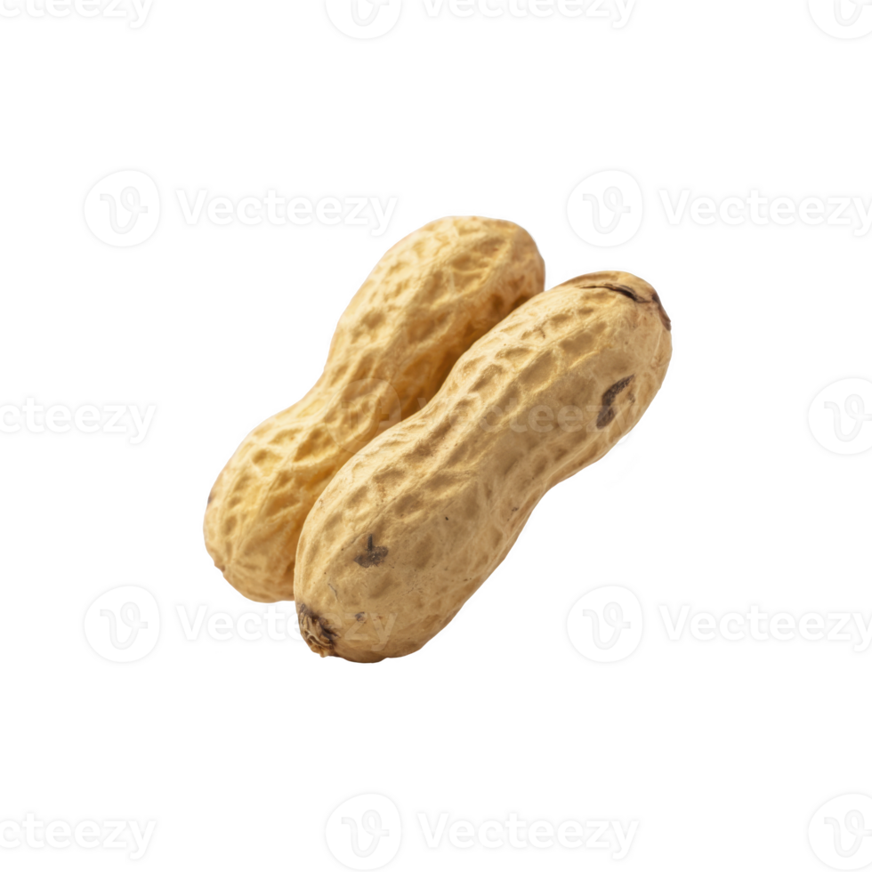 Two whole peanuts with textured shells are shown against transparency background. peanuts are positioned side by side, highlighting their natural, earthy appearance png