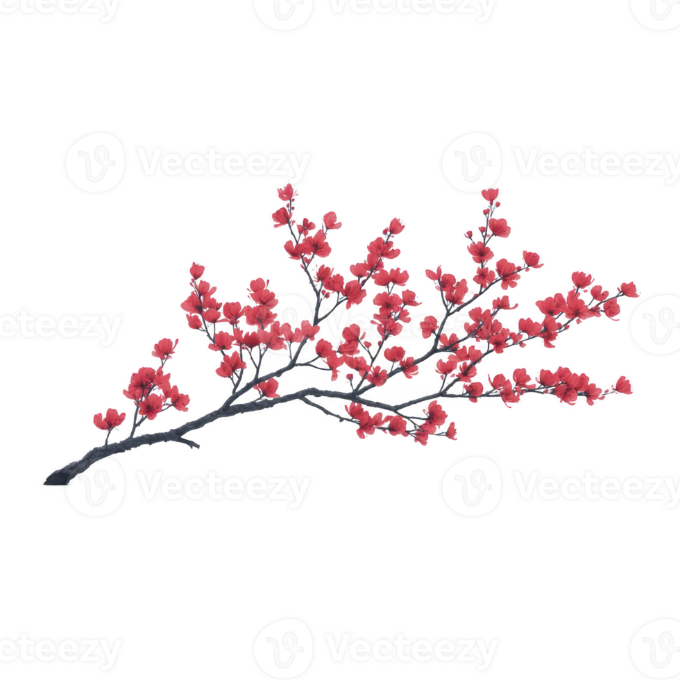 Branch of vibrant red cherry blossoms is beautifully arranged against plain background, showcasing delicate petals and intricate details. image evokes sense of tranquility and natural beauty png