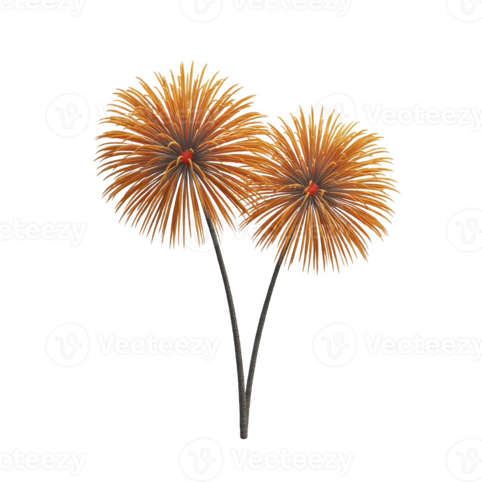 Two vibrant, orange dandelion like flowers with spiky petals are depicted against transparent background, showcasing their intricate details and natural beauty png