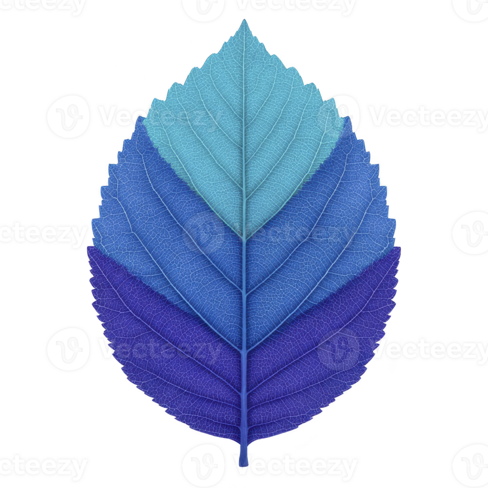 Vibrant leaf with gradient of blue shades, from light to dark, showcases intricate vein patterns. symmetrical design and vivid colors create striking visual effect png
