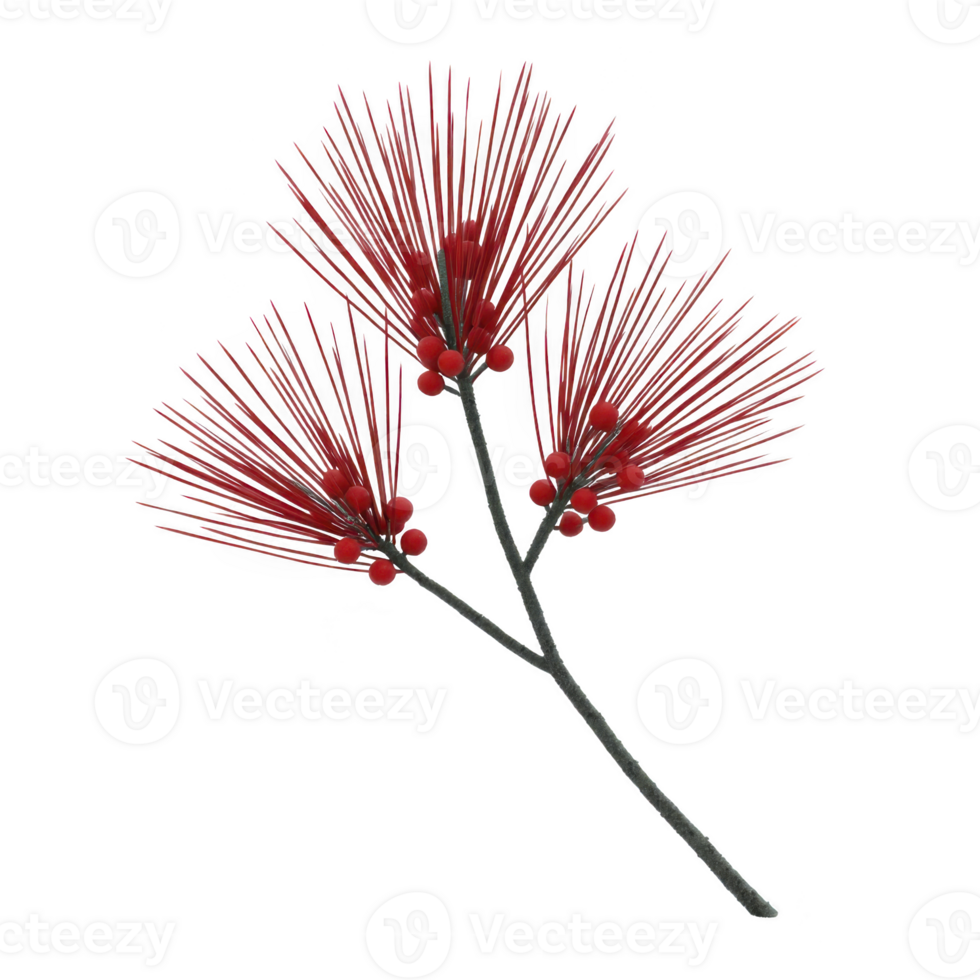 Vibrant red bottlebrush flower with spiky petals and small round buds on slender stem, showcasing striking and unique appearance png