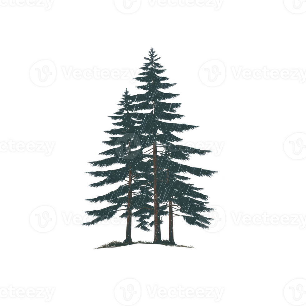 Digital illustration of two tall evergreen trees with detailed branches and textured appearance, set against transparent background. trees evoke sense of tranquility and nature png