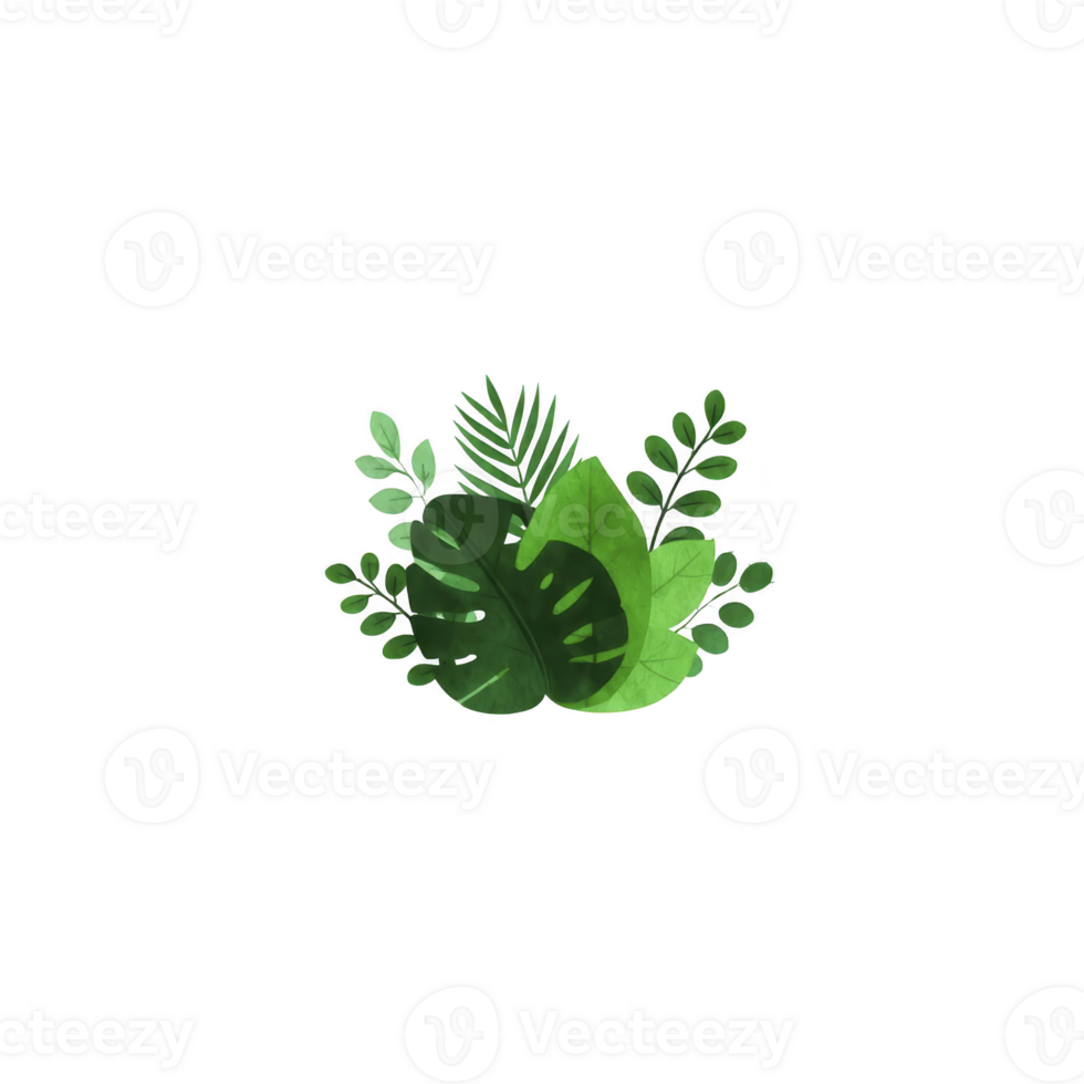 Collection of lush green tropical leaves, including monstera and fern, arranged in vibrant and natural design. leaves are layered to create sense of depth and freshness png