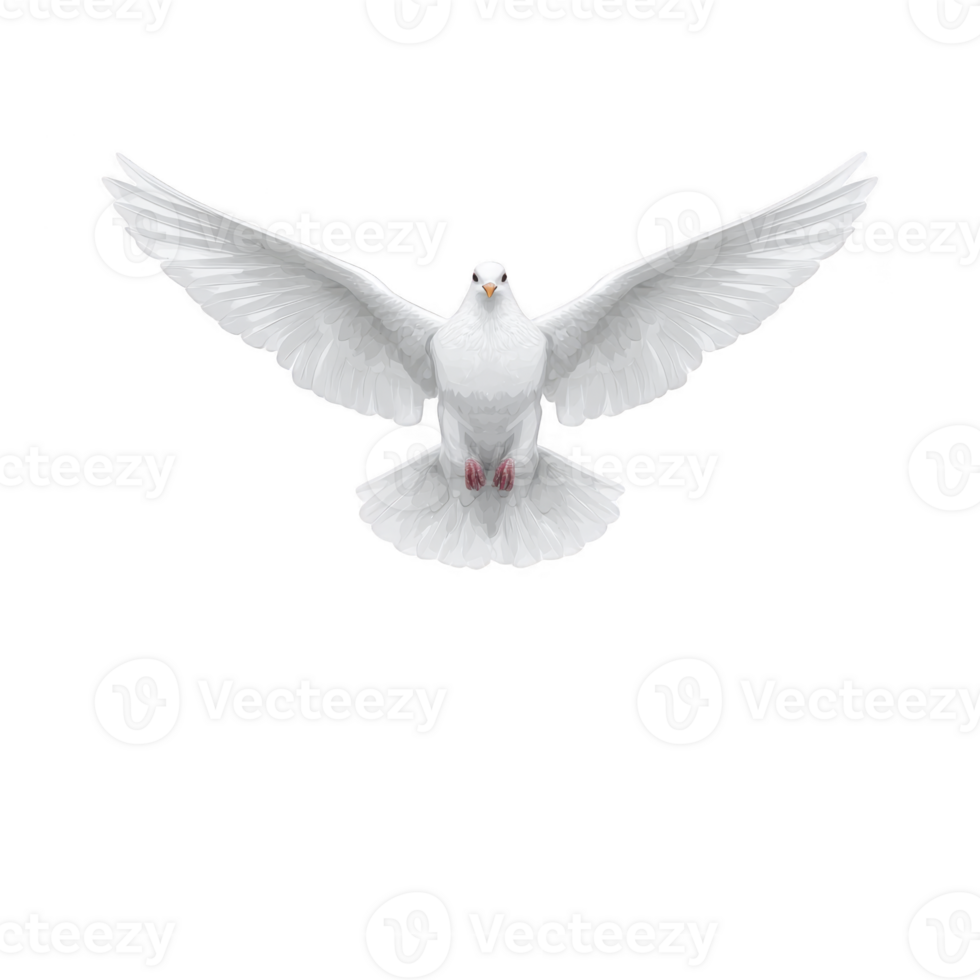 White dove with outstretched wings gracefully soars against transparency background, symbolizing peace and freedom. bird feathers are detailed and its posture is serene png