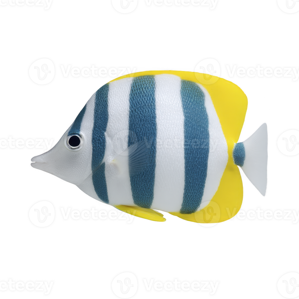 Colorful fish with blue and white stripes and yellow fins, resembling tropical marine species, is depicted against plain background. Its vibrant colors and distinct pattern make it visually png