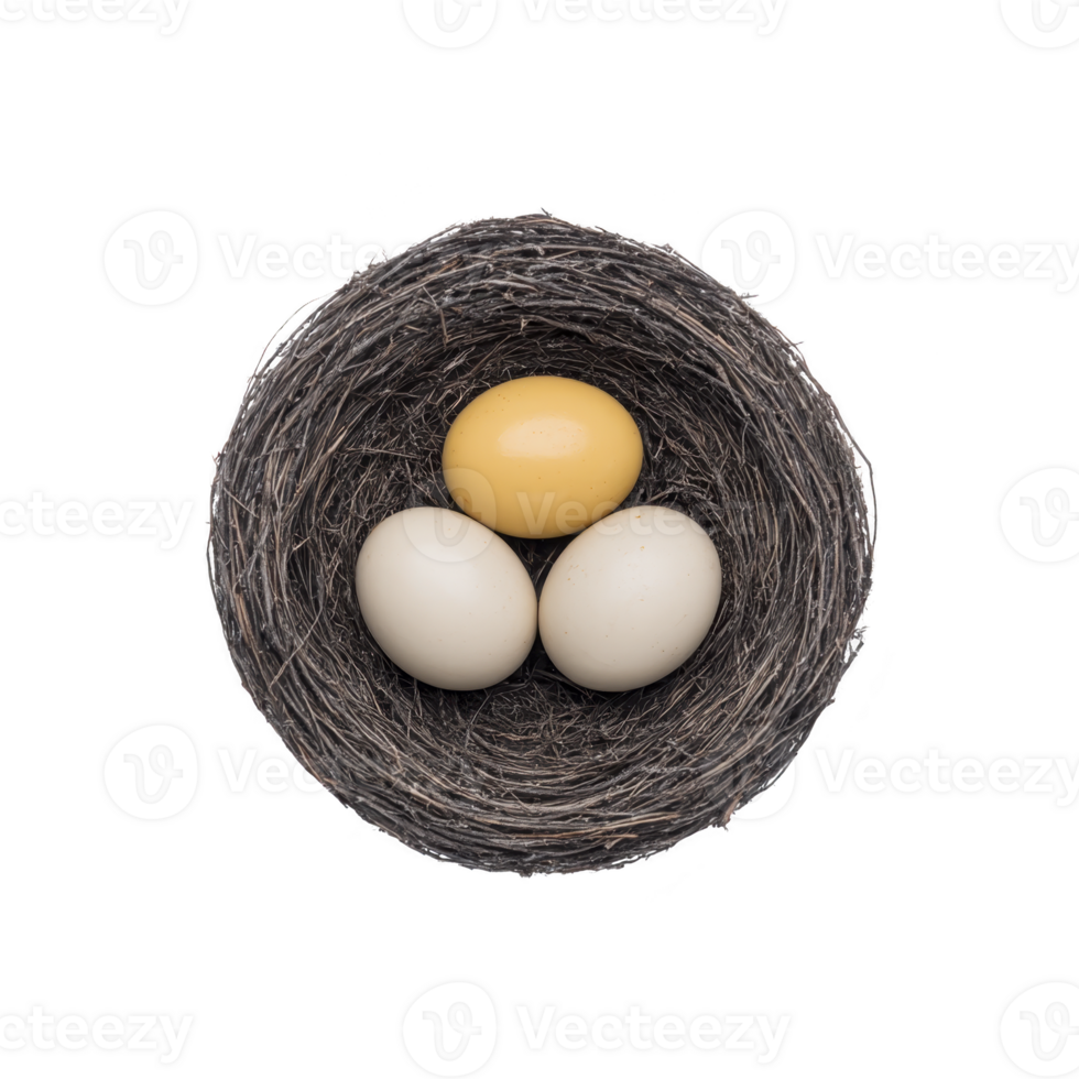 Bird nest containing two white eggs and one golden egg, symbolizing uniqueness and value, is set against plain background. nest is crafted from twigs, creating natural and rustic appearance png