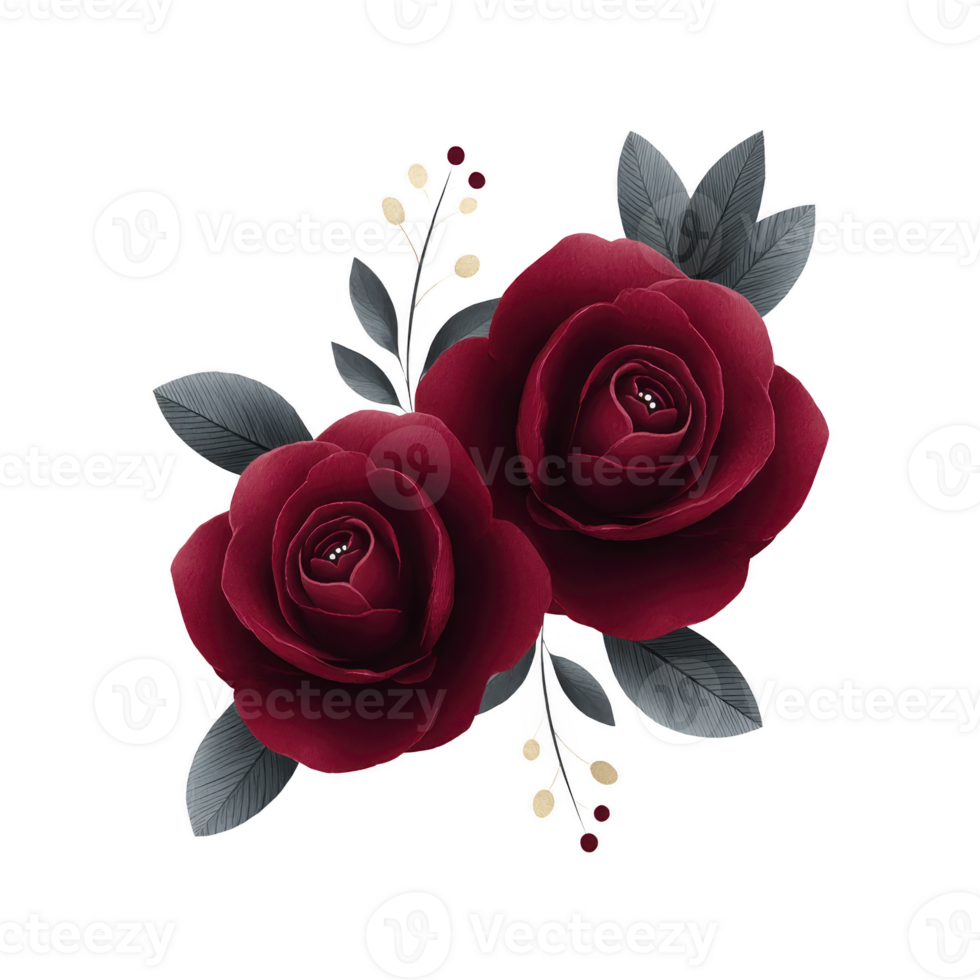 Two elegant dark red roses with gray leaves and small decorative berries create sophisticated floral arrangement. contrast between deep red petals and muted gray foliage adds touch of drama png