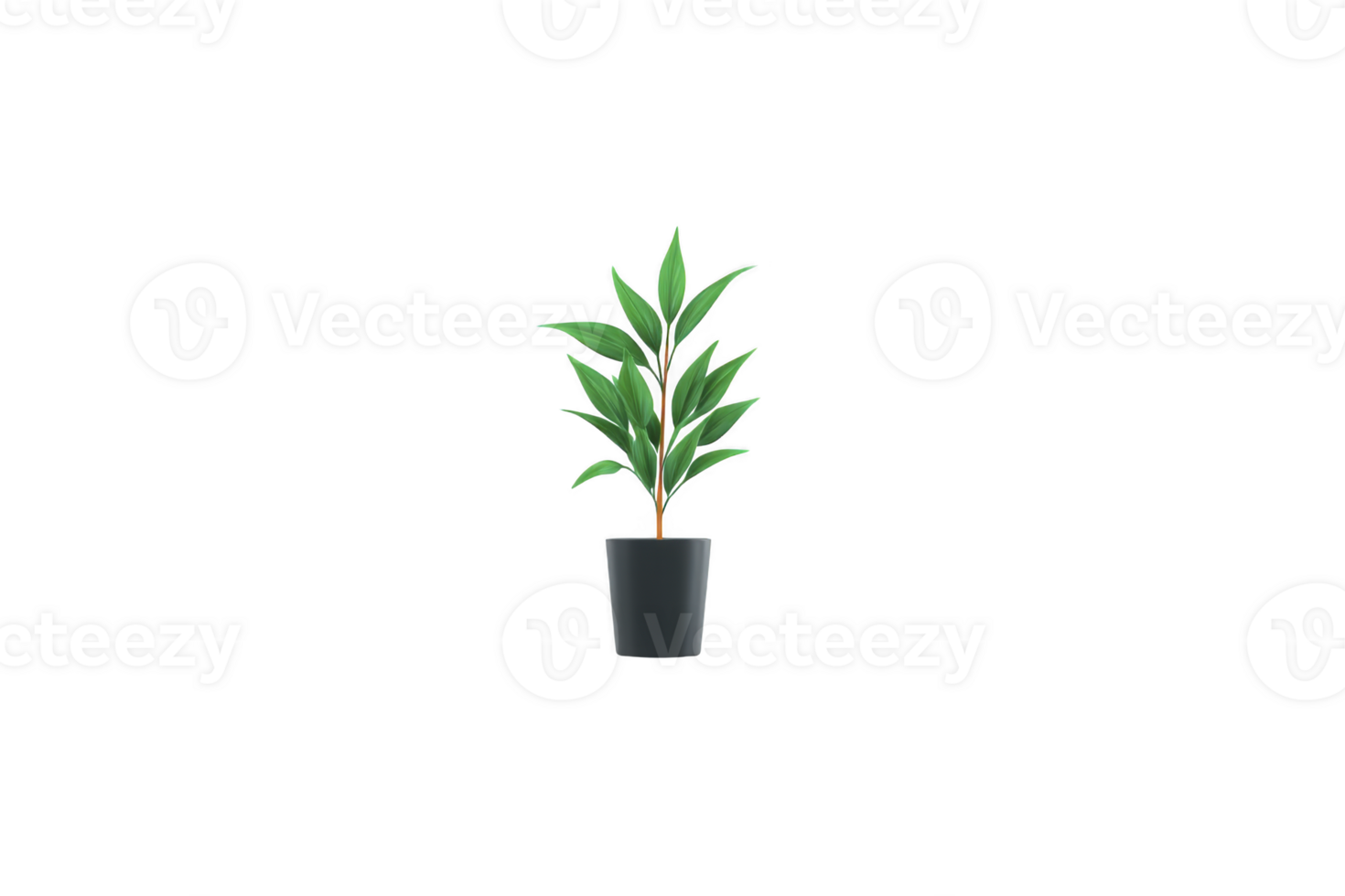 Potted plant with lush green leaves stands in sleek black pot, offering touch of nature and elegance. plant vibrant foliage adds refreshing and calming presence png