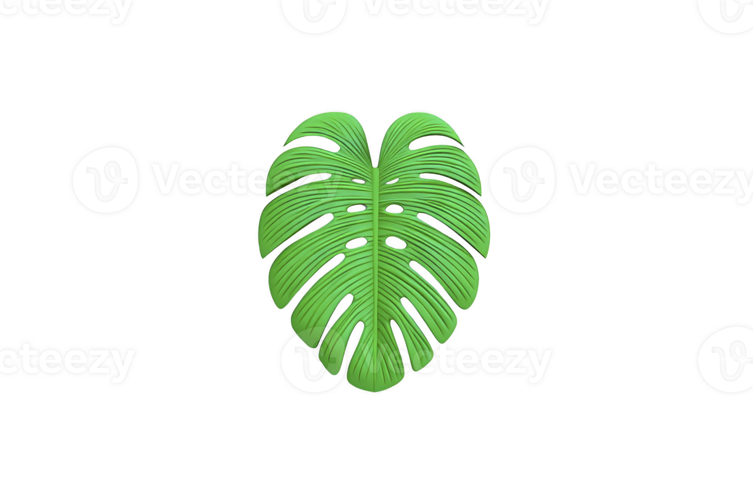 Vibrant green monstera leaf with distinctive holes and splits, isolated on transparency background, showcasing its unique tropical design png