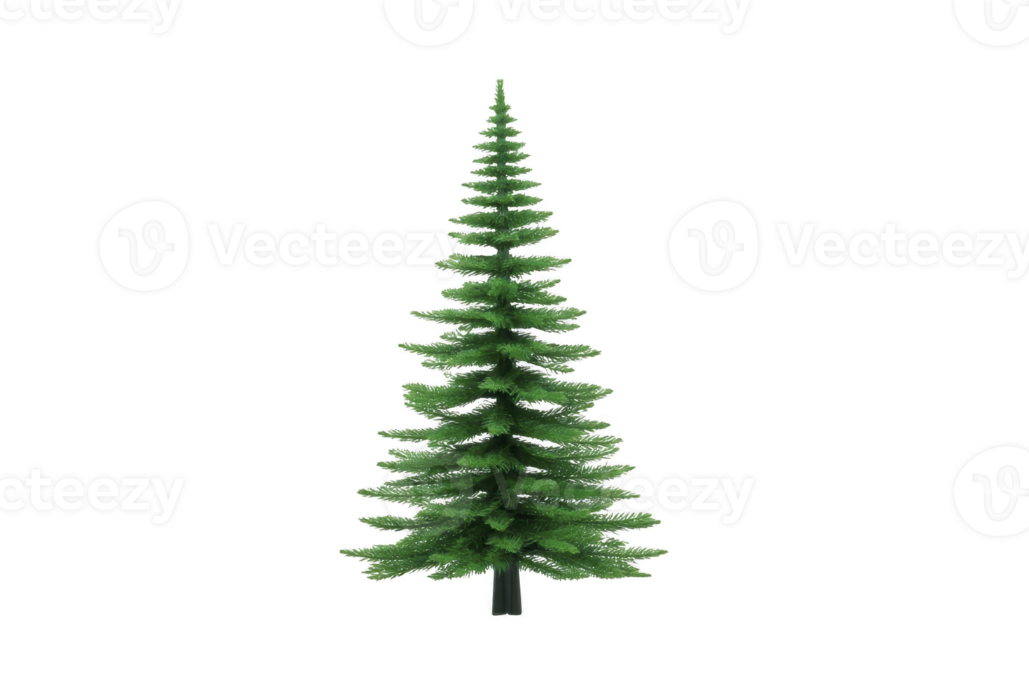 Tall, lush green pine tree stands isolated against transparent background, showcasing its symmetrical branches and vibrant foliage. Perfect for nature themed designs png