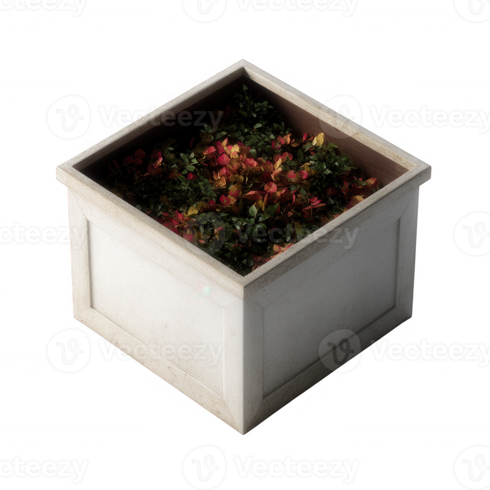 A square planter filled with vibrant, colorful foliage, set against a white isolated background. Ideal for gardening enthusiasts and decor inspiration. png