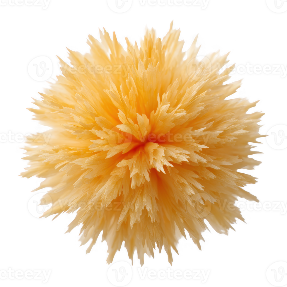 A vibrant yellow plant resembling a fluffy pom-pom, isolated on a white background, showcasing intricate textures and shapes, perfect for nature-inspired designs. png