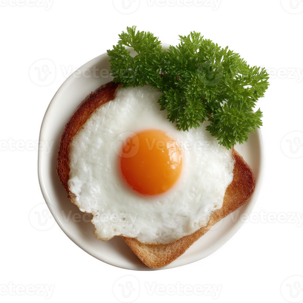 Fried egg with a bright yolk served on toasted bread, garnished with fresh parsley, isolated on a clean background for culinary presentations. png