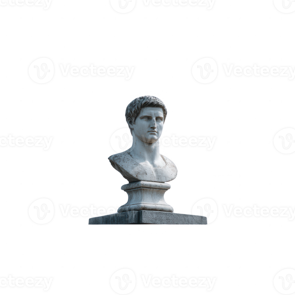 A classic marble bust sculpture depicting a young man's head and shoulders, showcasing intricate details and a white isolated background for emphasis. png