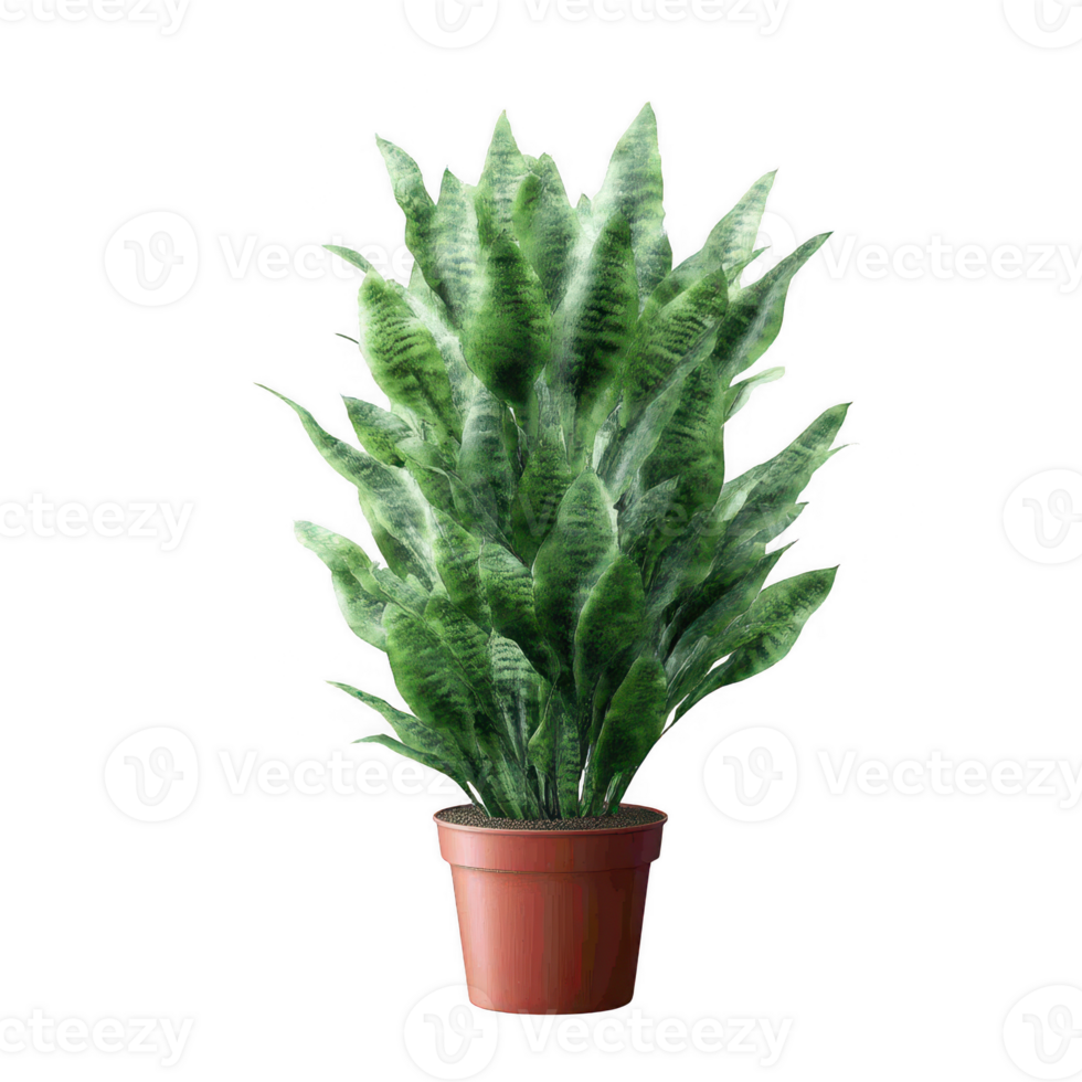 A lush, vibrant plant in a terracotta pot, showcasing dense green leaves against a white isolated background, perfect for home decor or office enhancement. png