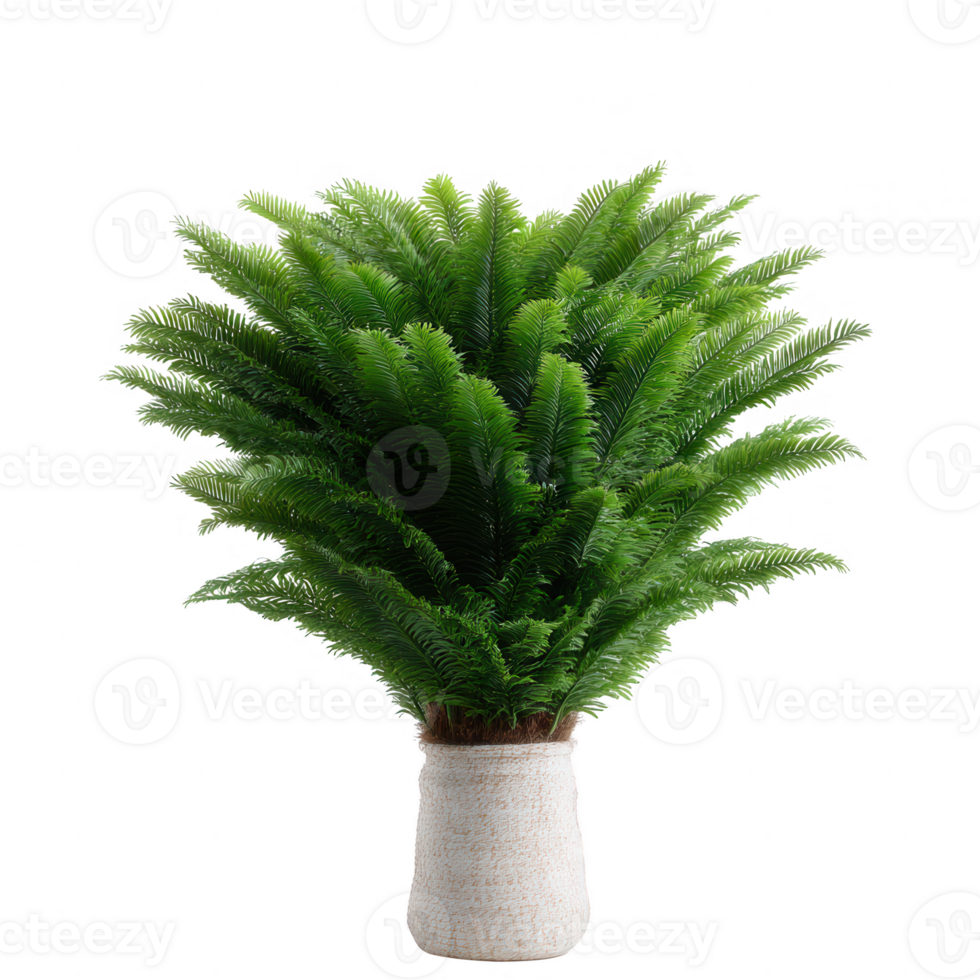 A lush, green fern in a decorative pot, showcasing vibrant leaves and a healthy, thriving appearance, perfect for enhancing any indoor space or garden aesthetic. png