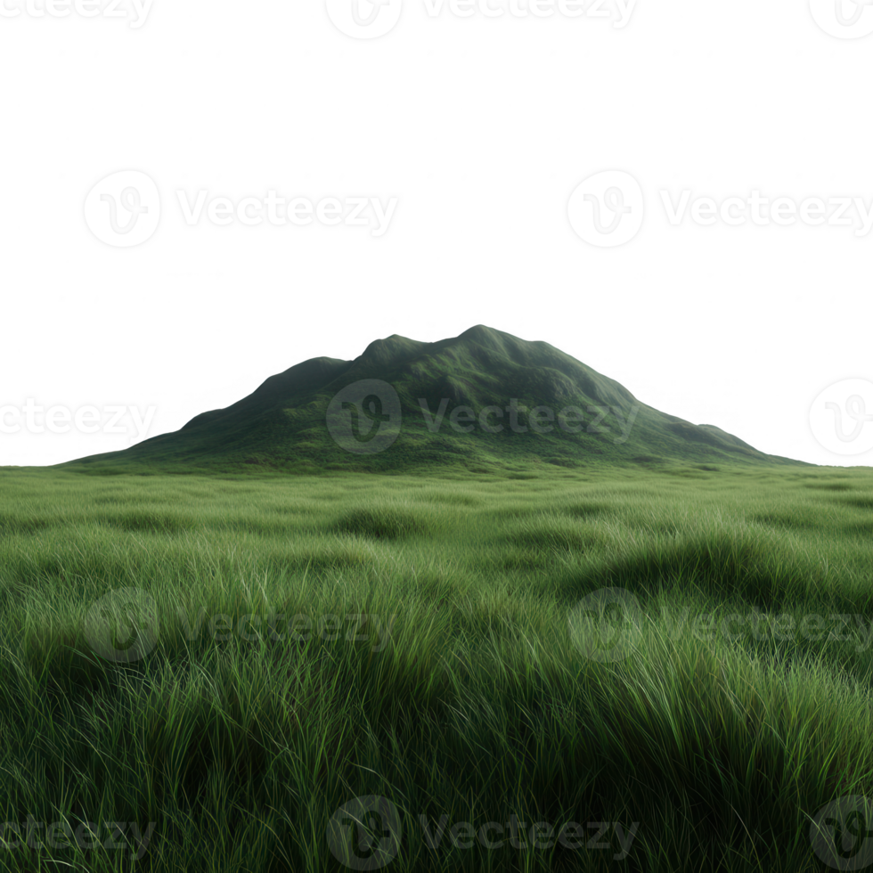 A serene landscape featuring a lush, grassy hill under a clear sky, ideal for nature-themed projects and print materials. png
