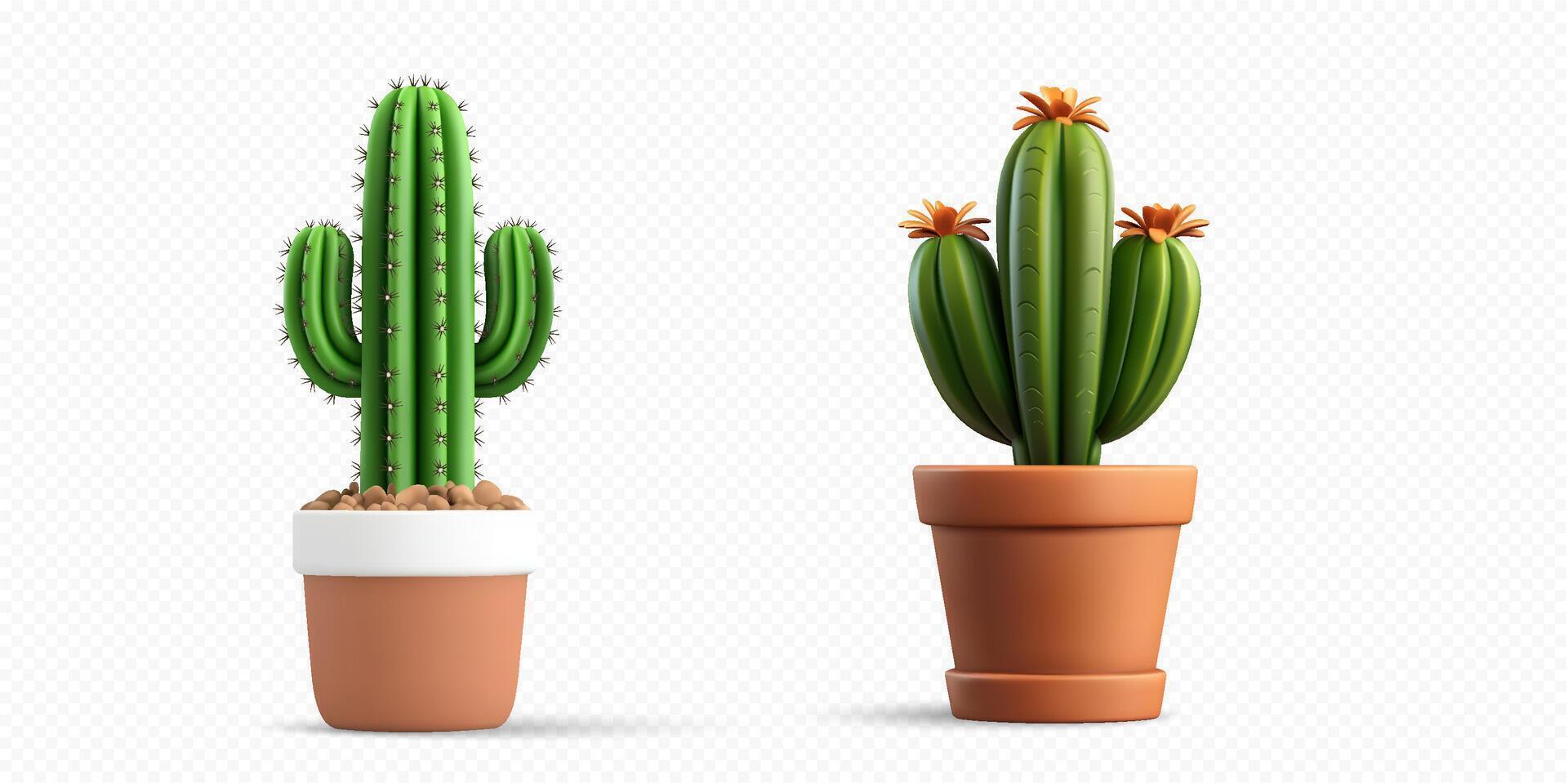 Two decorative potted cacti vector