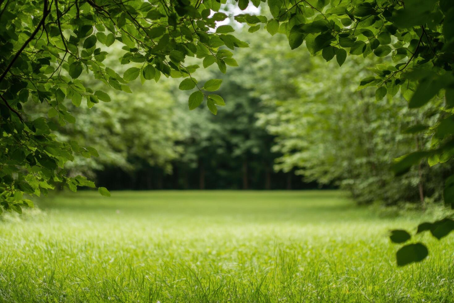 Serene Green Landscape Picturesque View of Lush Grassy Field and Tranquil Forest. Perfect for nature lovers and those seeking peaceful scenery. photo