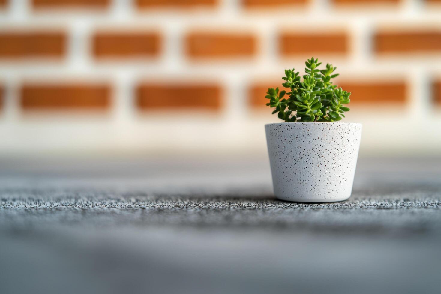 Small Green Succulent in a White Pot on a Grey Surface with a Brick Wall Background. Minimalist Home Decor, Simple Nature Photogra photo
