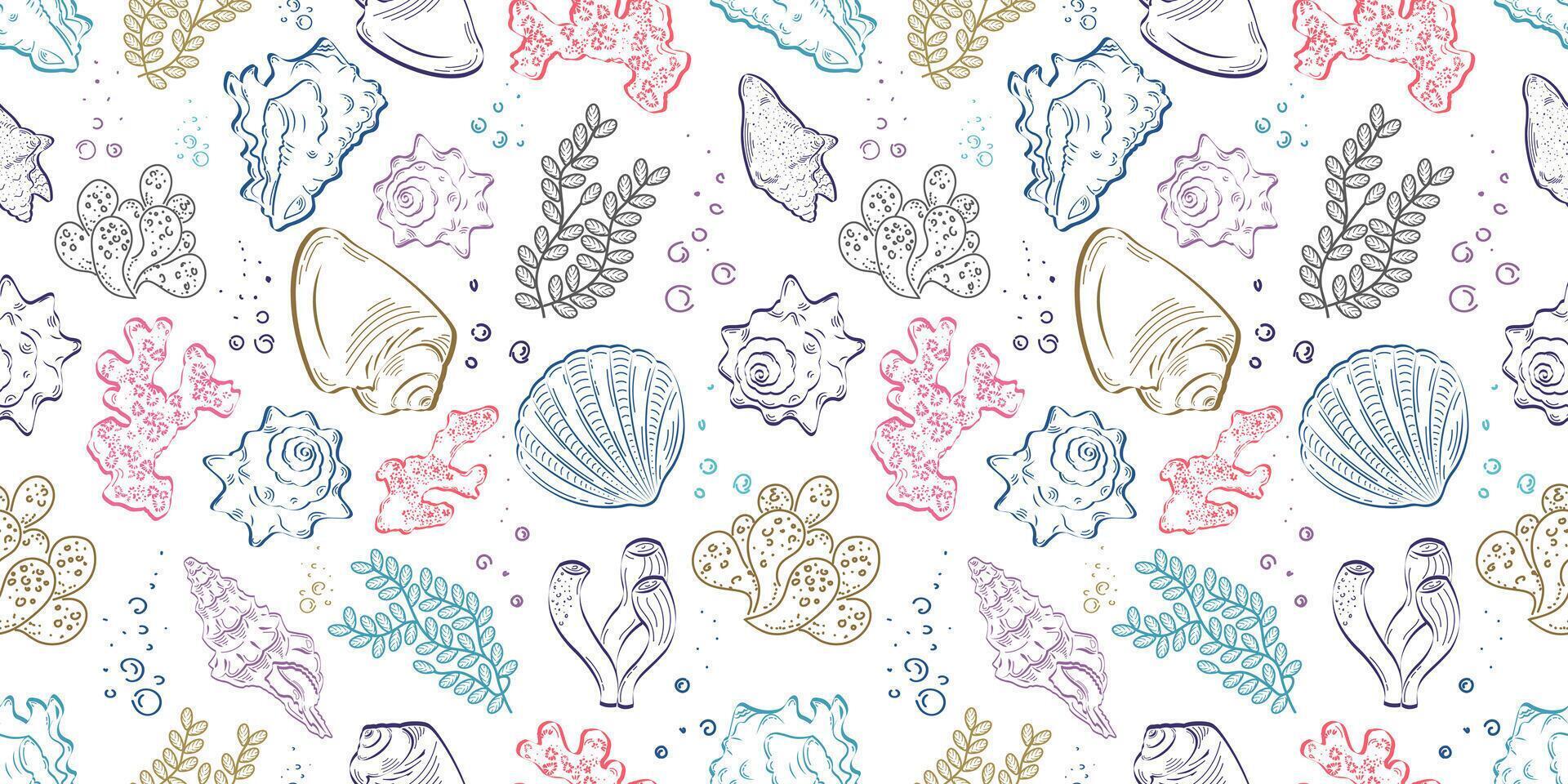 Seamless pattern with shells, corals, algae. Sketch, colored outline on a white background. Ideal for covers, backgrounds, packaging, textiles. vector