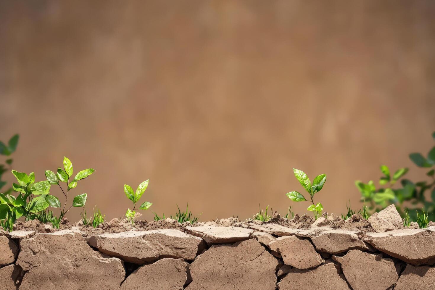Seedlings sprout from cracked earth against a brown backdrop, representing hope photo