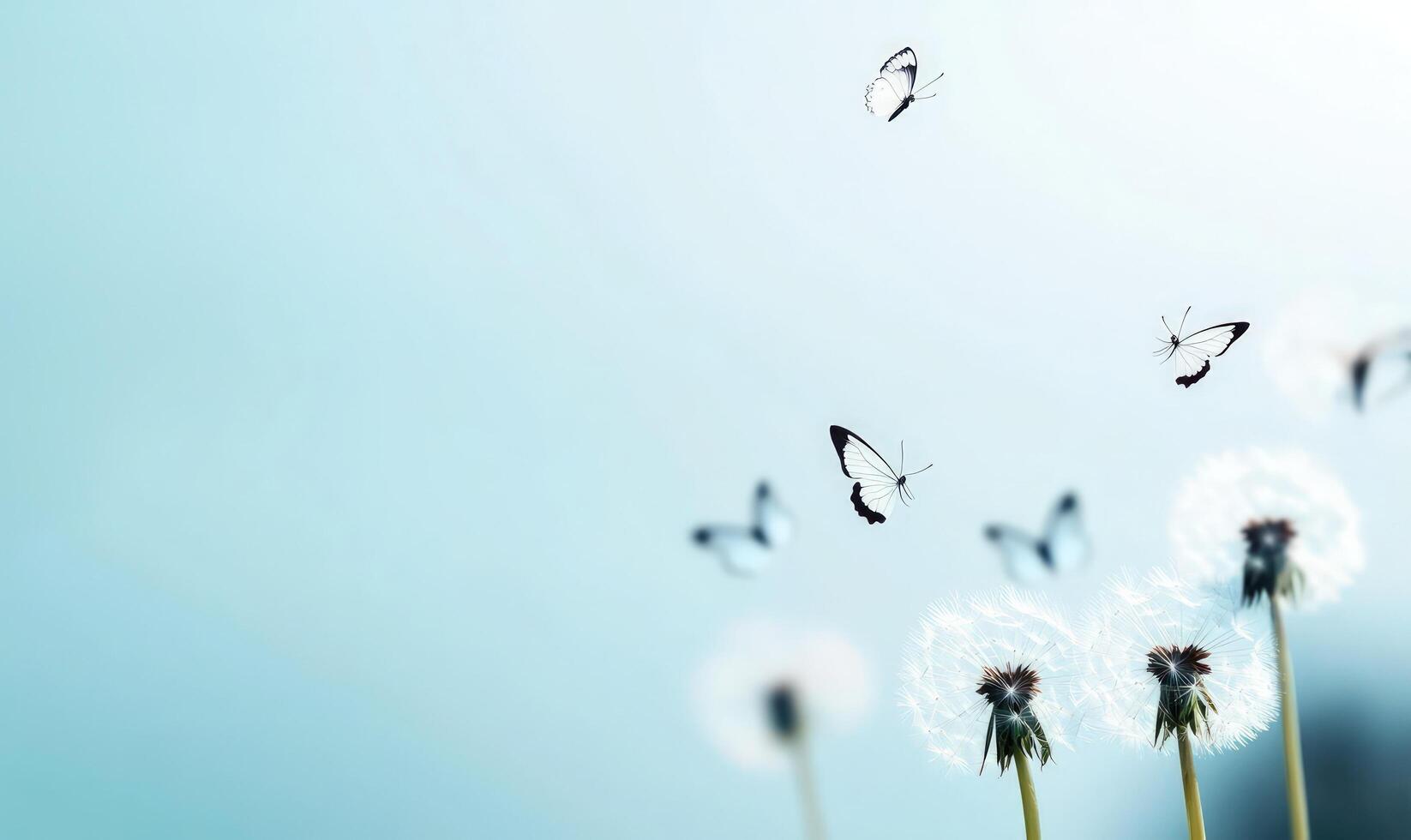 Dandelions releasing seeds, which transform into butterflies, against blue photo